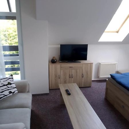 Apartman Violeta Harrachov Ngoại thất bức ảnh