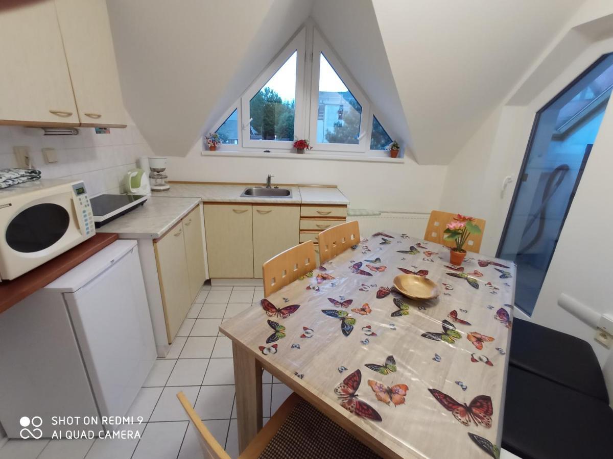 Apartman Violeta Harrachov Ngoại thất bức ảnh