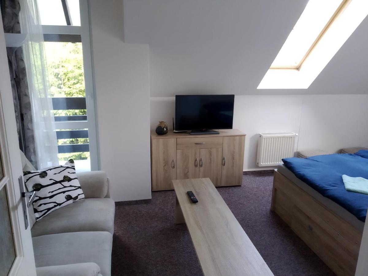 Apartman Violeta Harrachov Ngoại thất bức ảnh