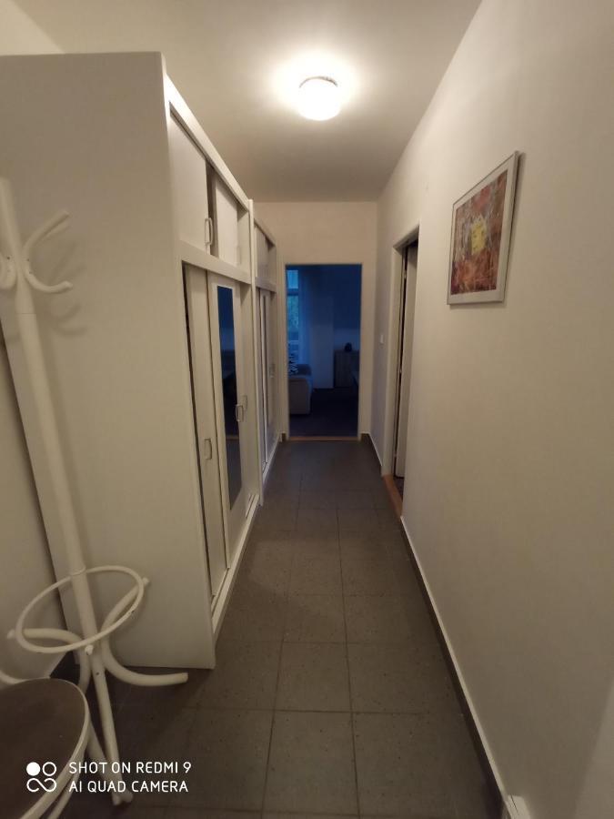 Apartman Violeta Harrachov Ngoại thất bức ảnh