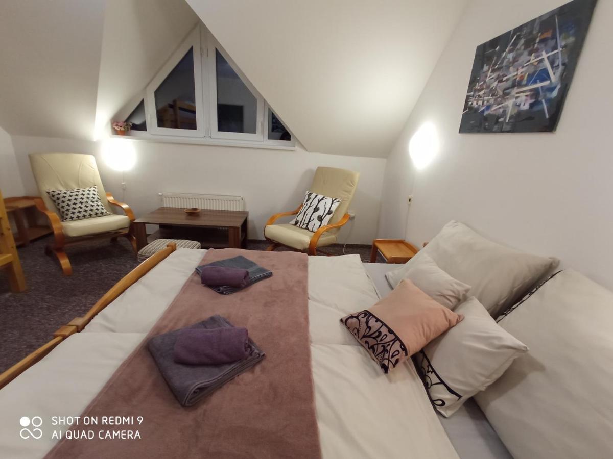 Apartman Violeta Harrachov Ngoại thất bức ảnh