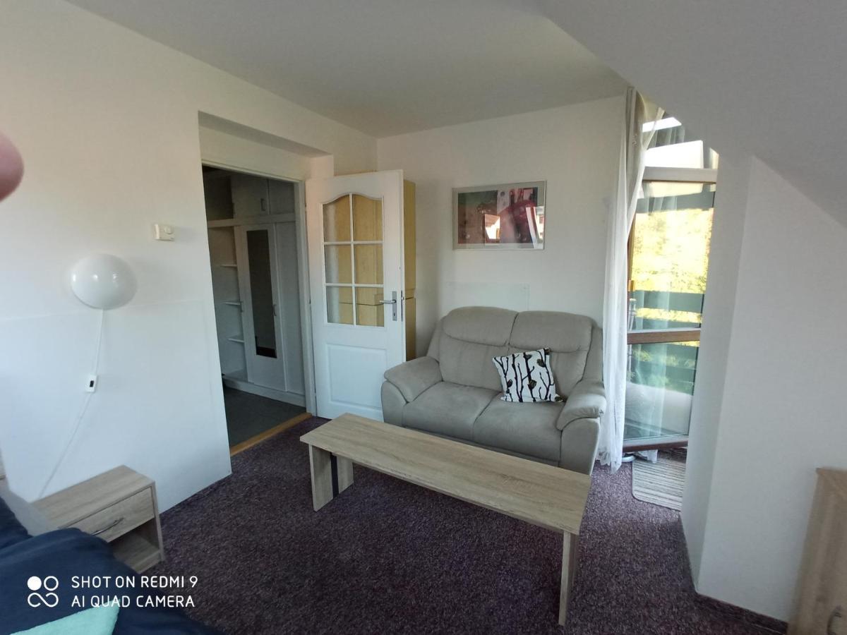 Apartman Violeta Harrachov Ngoại thất bức ảnh